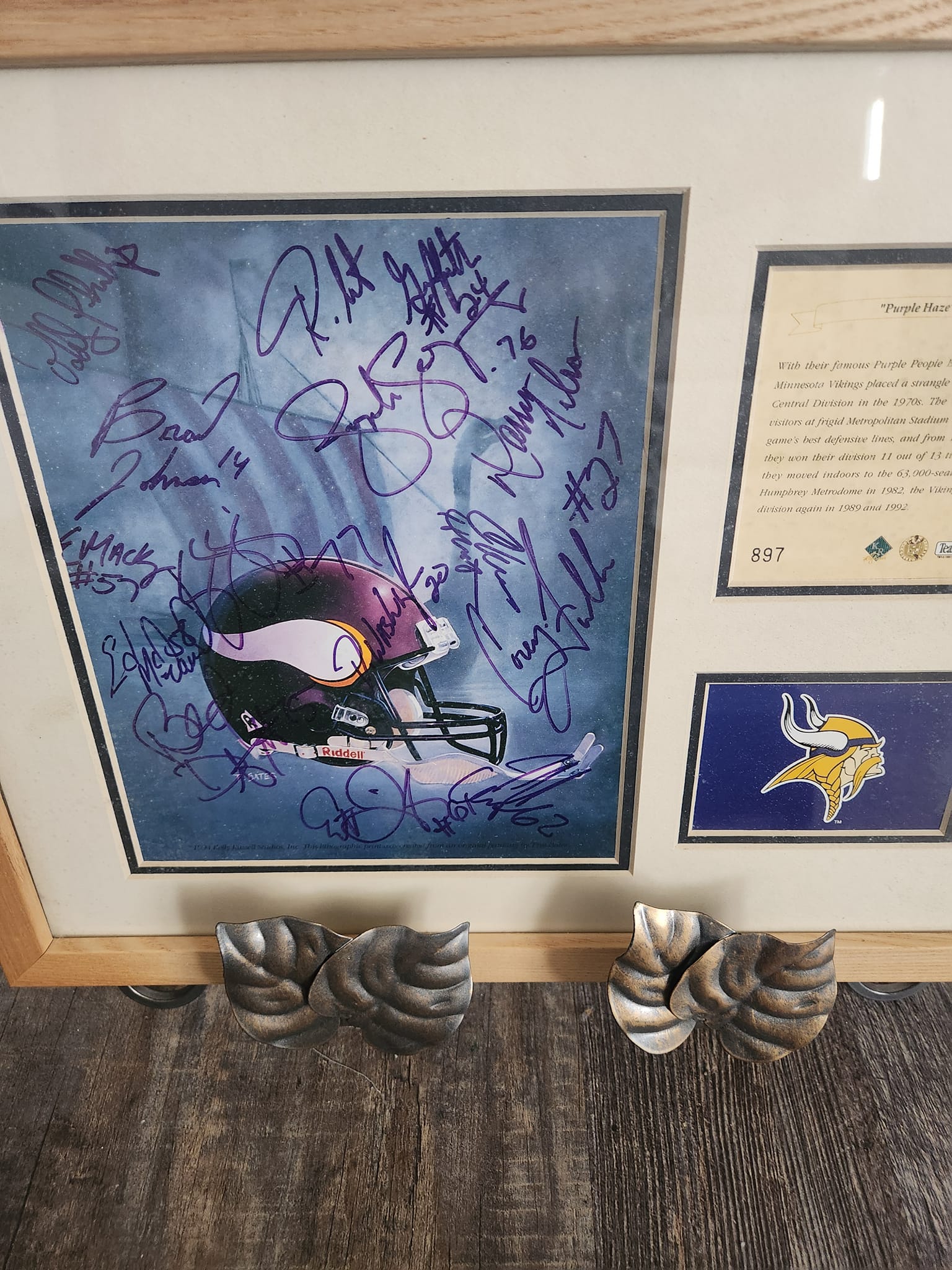 Minnesota Vikings Purple Haze multi-signed poster
